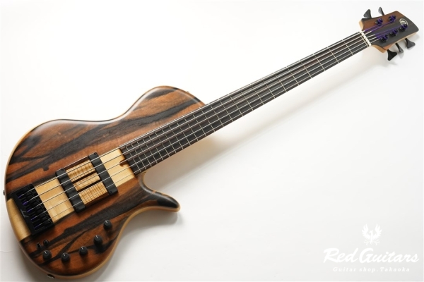 Platinum Series Single-Cut , e-volution 5 - Macassar Ebony